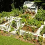 Edible garden